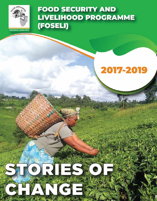 FOSELI Stories of Change