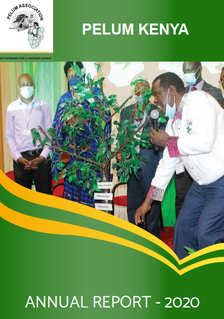 Annual Report 2020