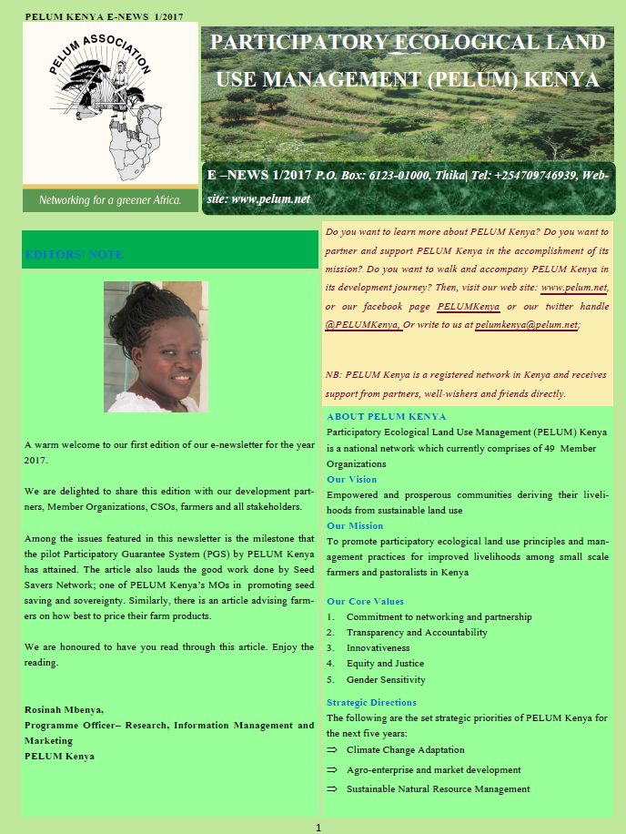 Issue #1 Newsletter 2017
