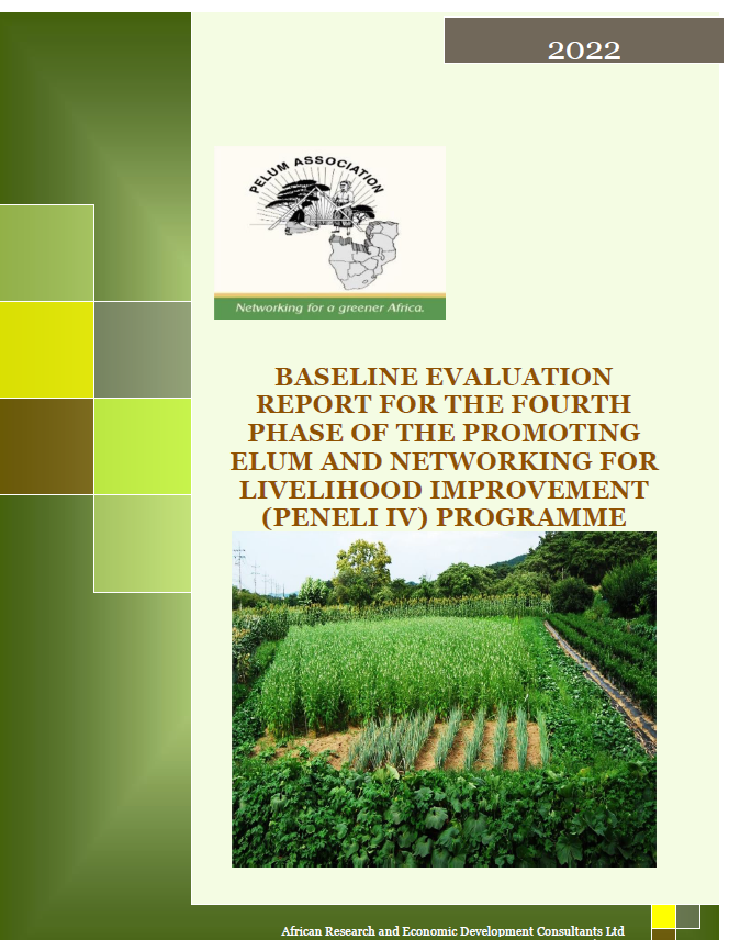 PENELI IV BASELINE STUDY REPORT