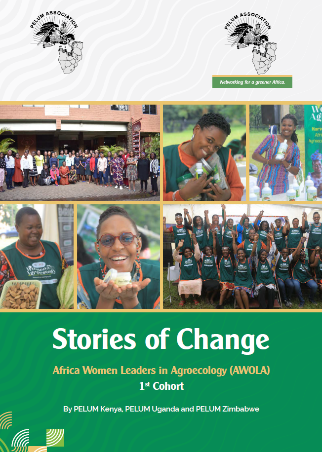 Stories of Change