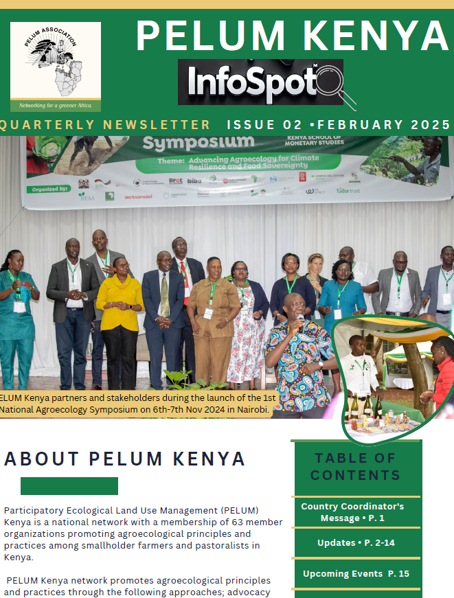 Issue #02 NEWSLETTER 2025