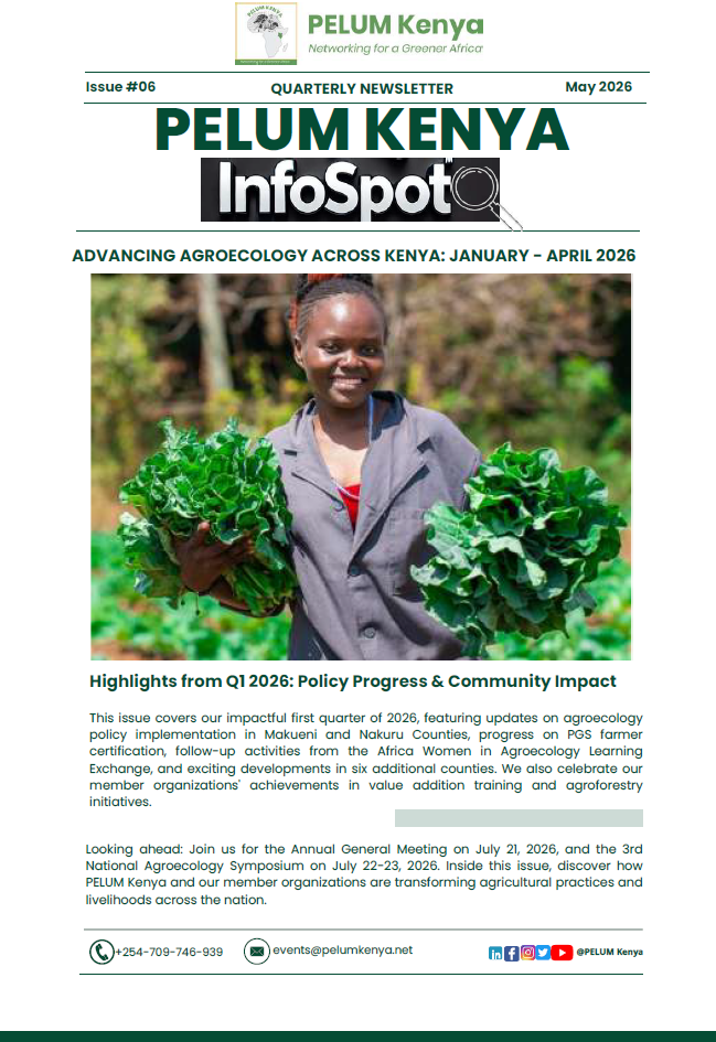 Issue #06 Newsletter 2026
