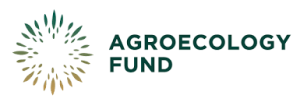 AE Fund