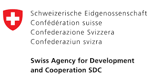 SDC Logo